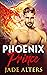 Phoenix Prince (Burnt Skies...