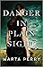 Danger in Plain Sight (Brotherhood of the Raven Book 3)