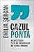 Cazul Ponta by Emilia Șercan