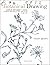 Botanical Drawing: A Step-B...