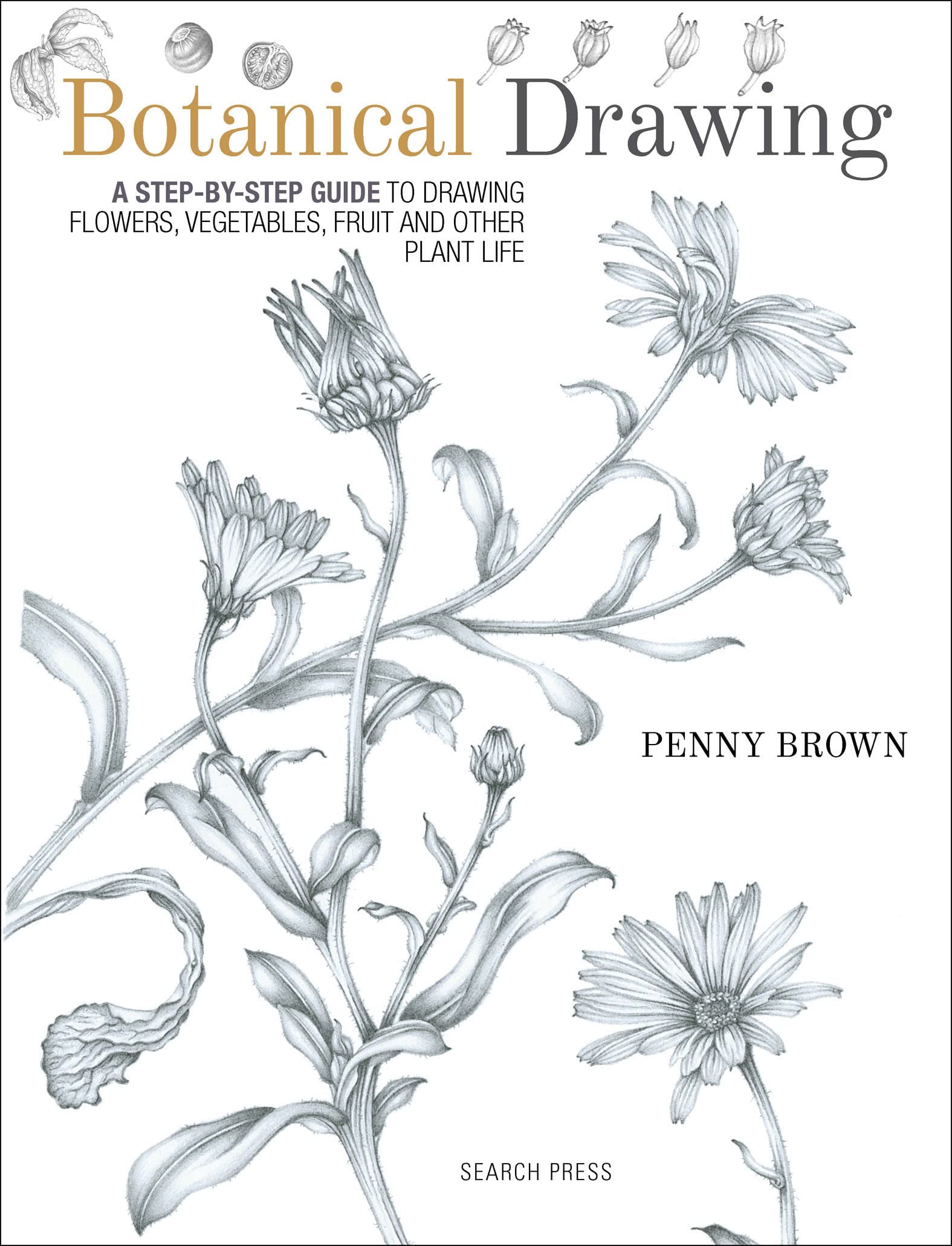 Botanical Drawing: A Step-By-Step Guide to Drawing Flowers, Vegetables, Fruit and Other Plant Life (Kindle Edition)
