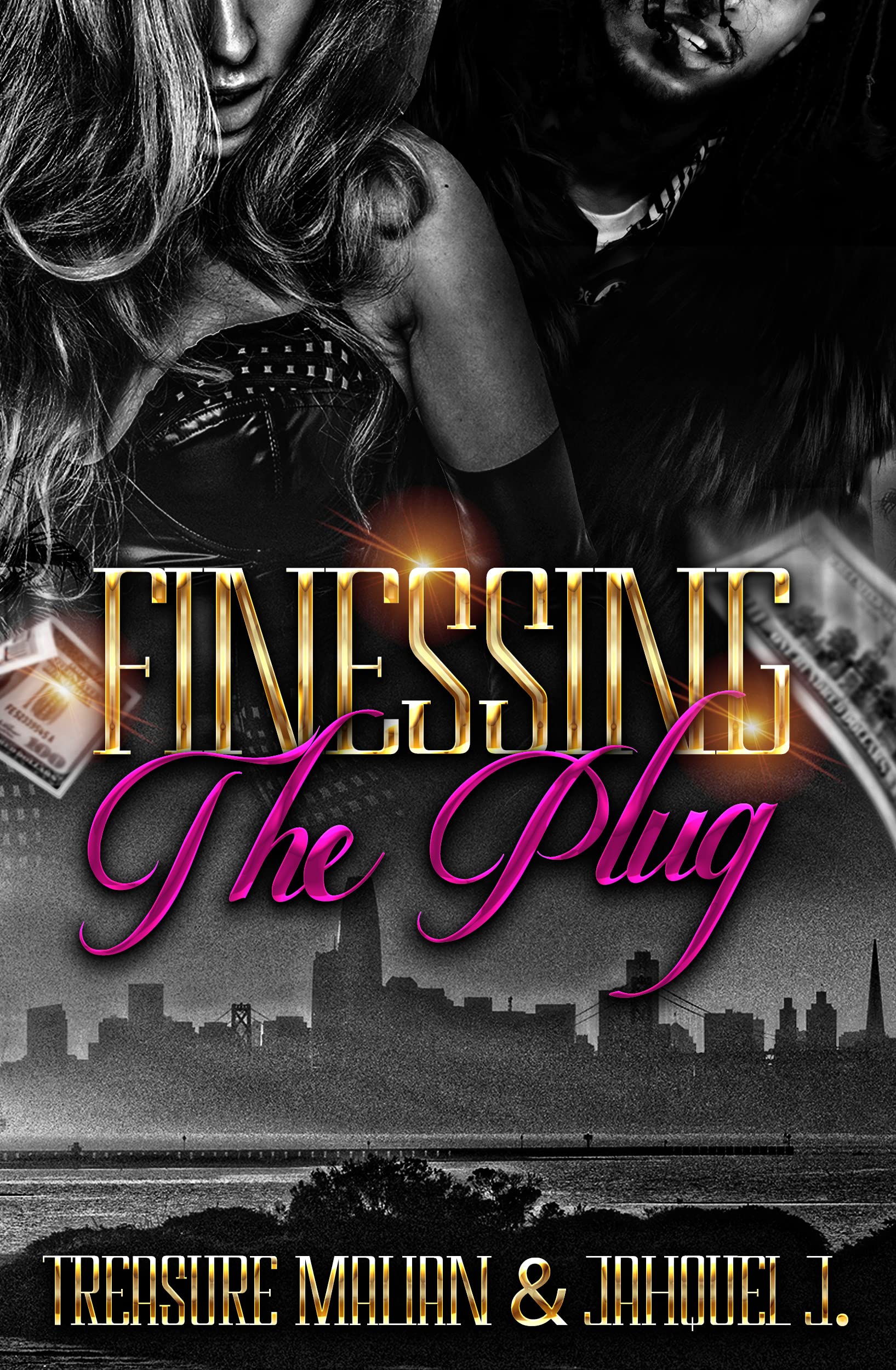 Finessing The Plug (Kindle Edition)