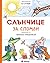Слънчице за спомен