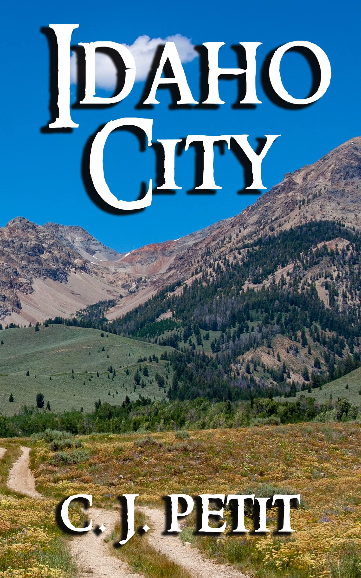 Idaho City (Joe Beck #5)