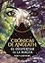 Crónicas de Angeath: El despertar de la magia