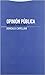 Opinión pública: Historia y presente