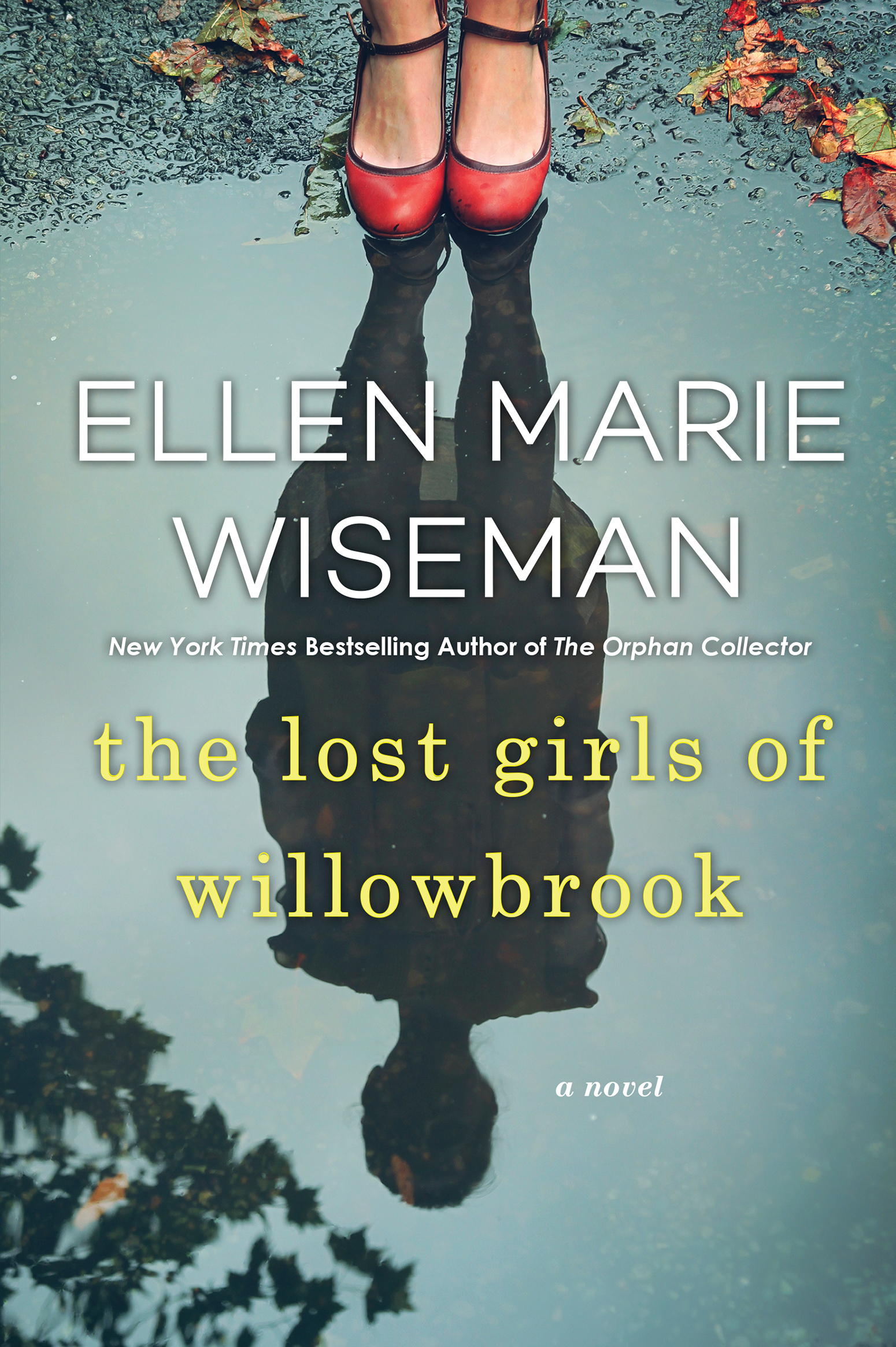 Book cover: The Lost Girls of Willowbrook by Ellen Marie Wiseman