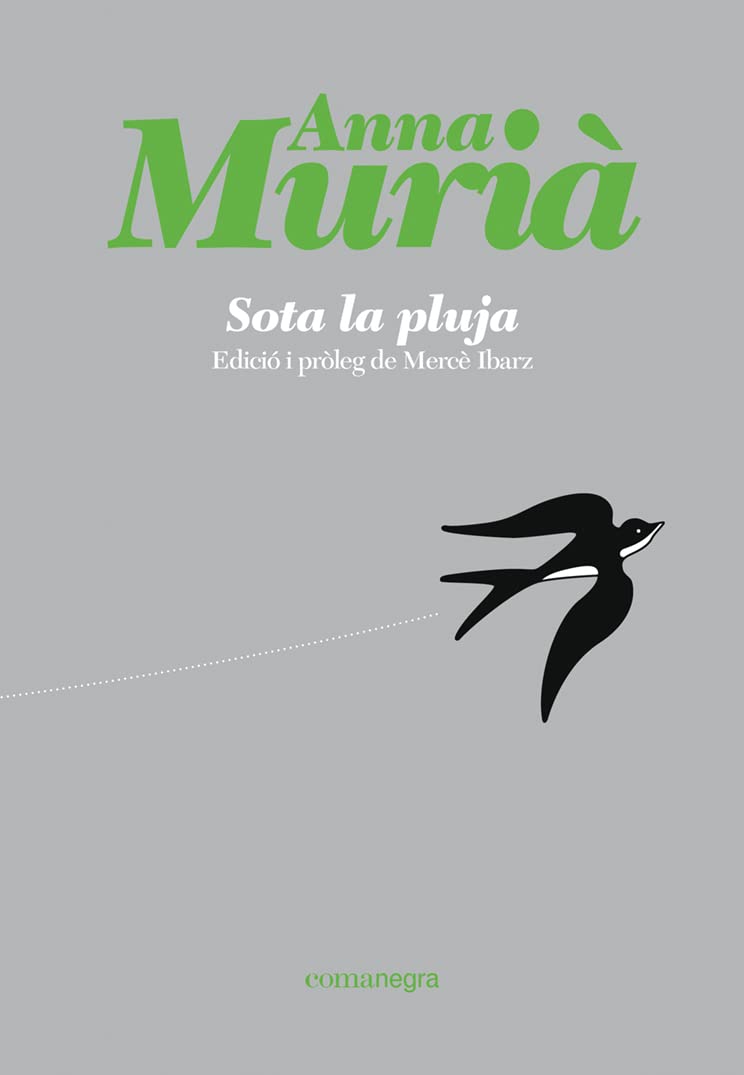 Sota la pluja: Divuit contes (Hardcover)