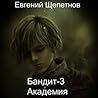 Бандит 3 Академия (Петр Синельников, #3)