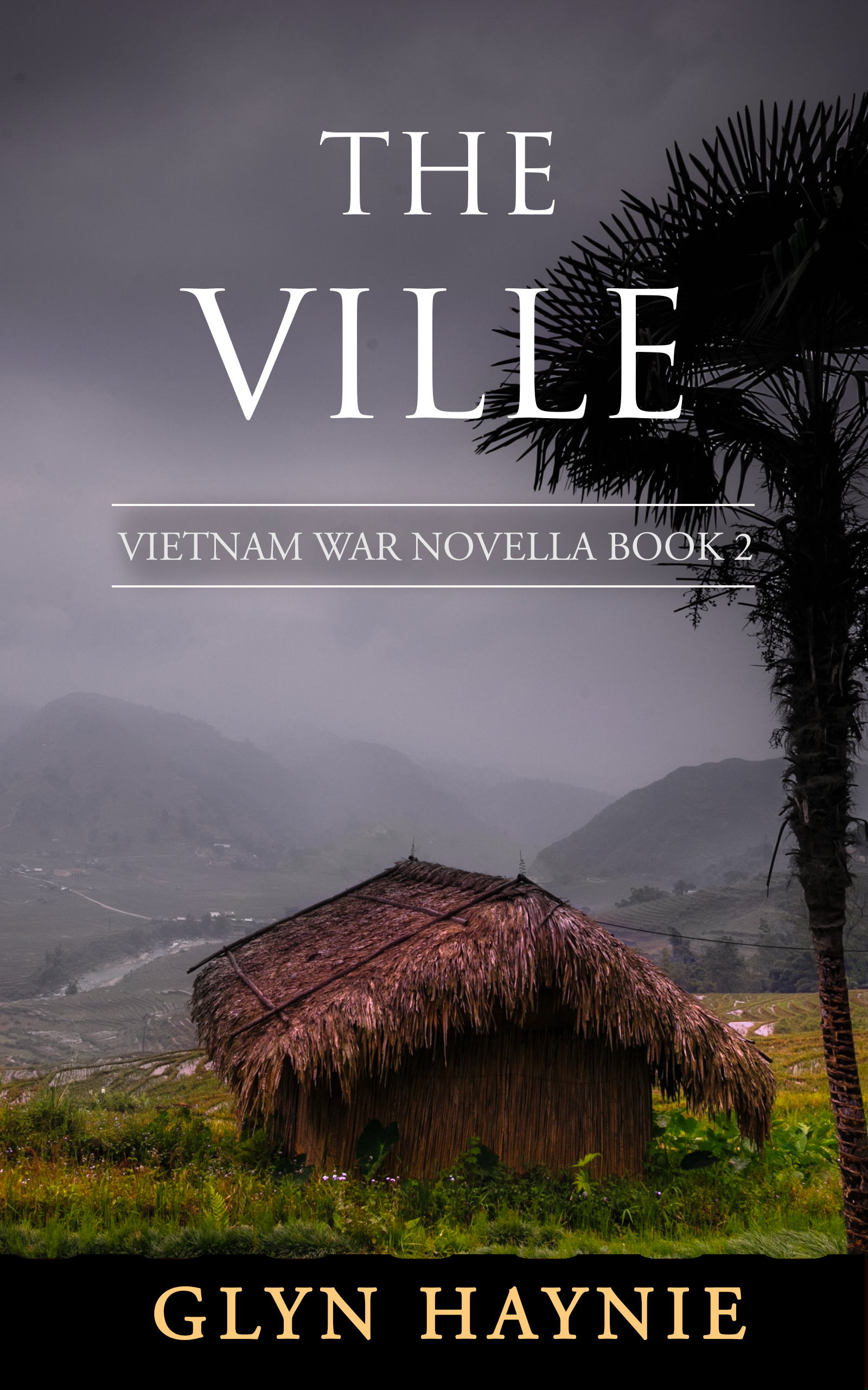 The Ville: Vietnam War Novella Book 2
