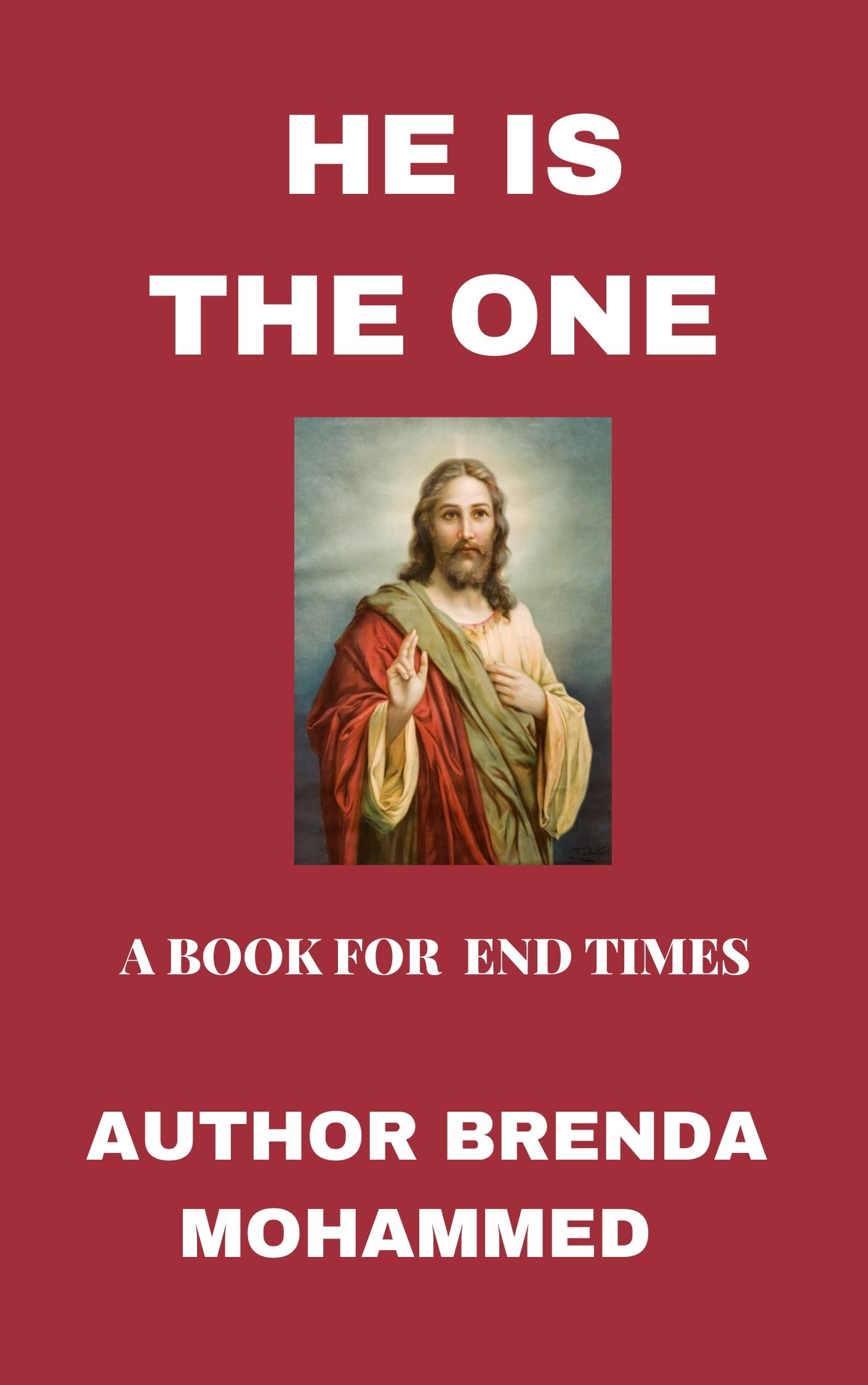 Read HE IS THE ONE: A BOOK FOR END TIMES