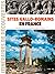 Sites gallo-romains en France by Renée Grimaud