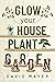 Thrive Your Houseplant Garden: The Step-By-Step Guide of Indoor Plant Care For Beginners
