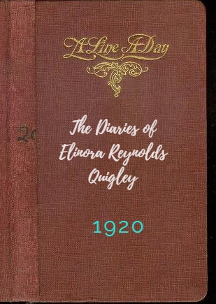 The Diaries of Elinora Reynolds Quigley: 1920 (Hardcover)