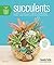 Succulents: Everything You ...