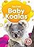 Baby Koalas (Too Cute! Blastoff! Beginners)