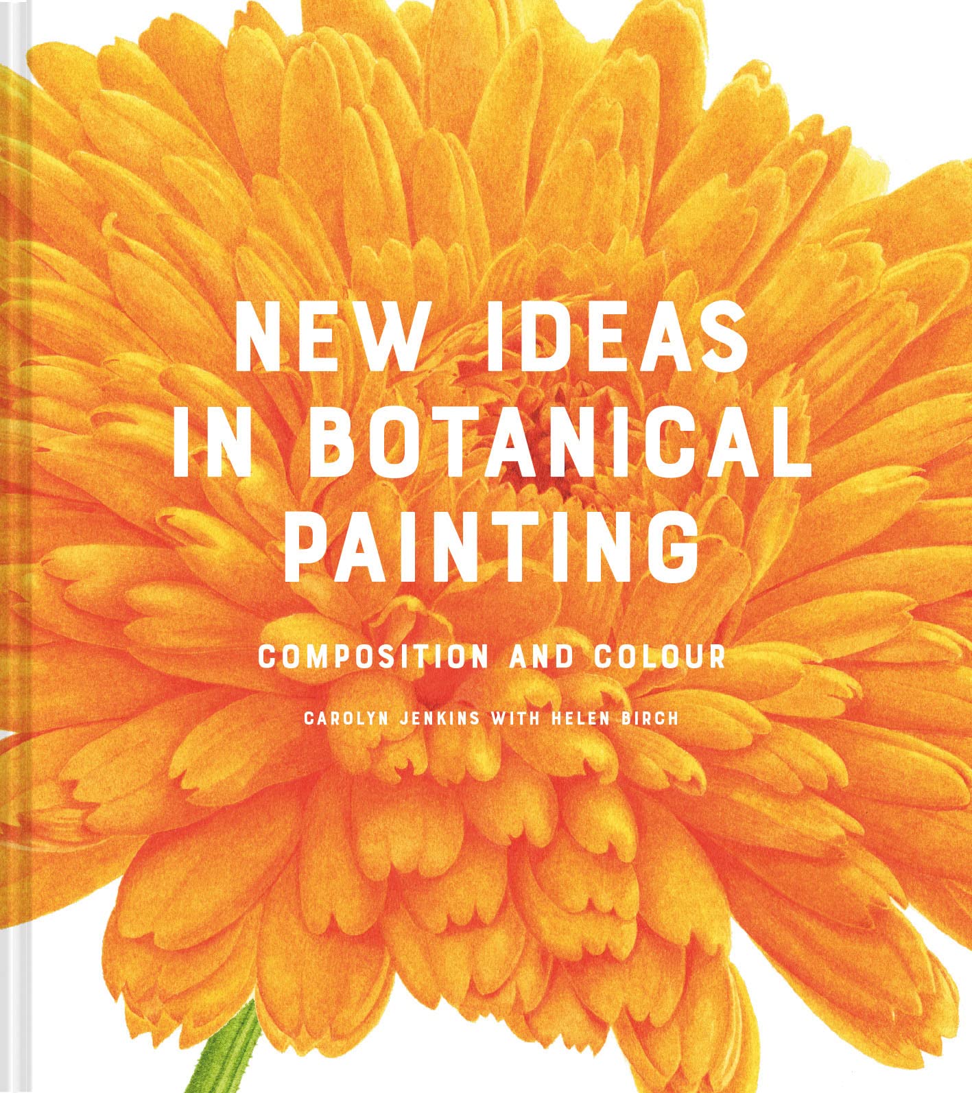 New Ideas in Botanical Painting: composition and colour (Kindle Edition)