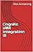 Cognito IAM Integration III by Alex Armstrong