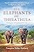 The Elephants of Thula Thula