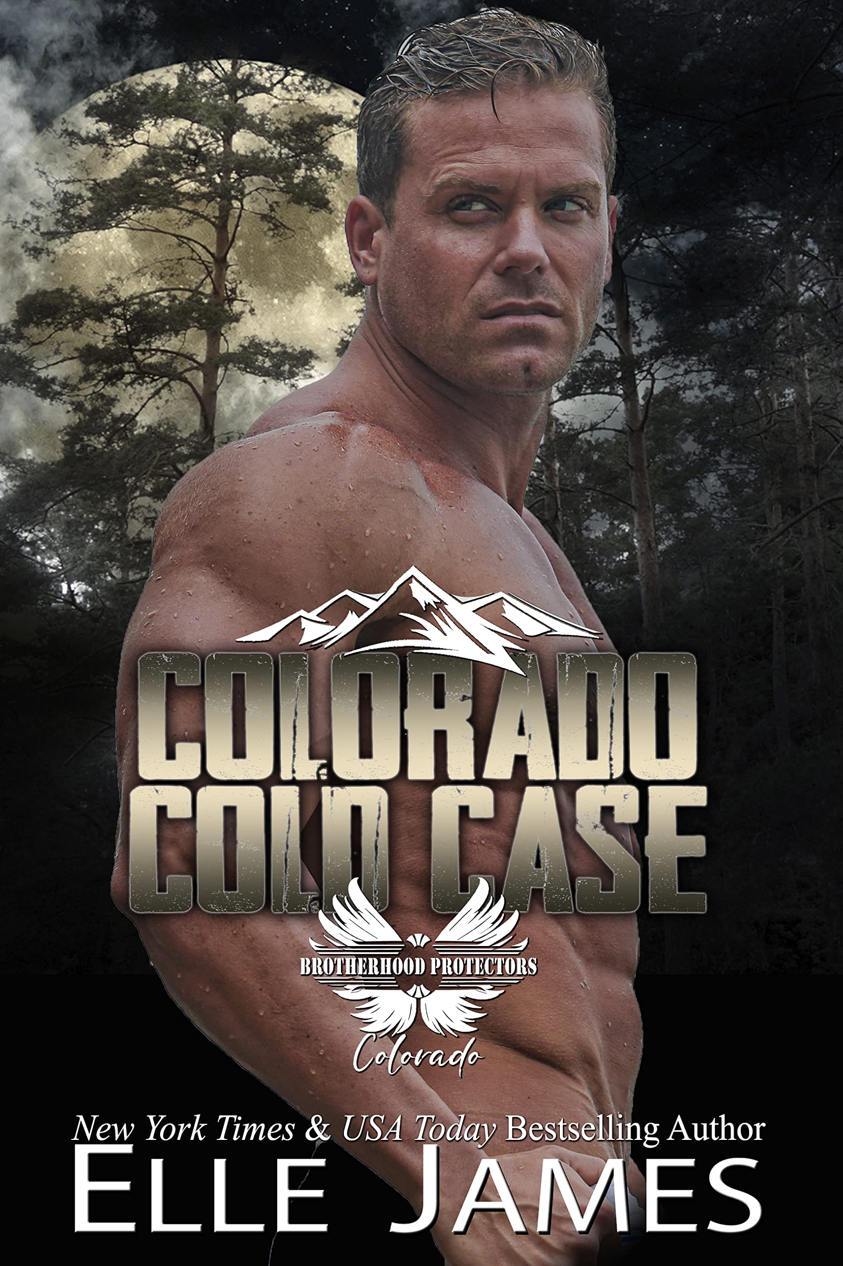 Colorado Cold Case (Brotherhood Protectors: Colorado #8)