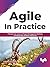 AGILE in Practice: Practical Use-cases on Project Management Methods including Agile, Kanban and Scrum (English Edition)