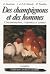 Des champignons et des hommes