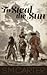 To Steal the Sun by S.M. Carter
