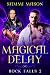 Magical Delay (Rock Falls, #2)
