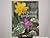 practical gardening (Previously published as The Ultimate Practical Gardener)