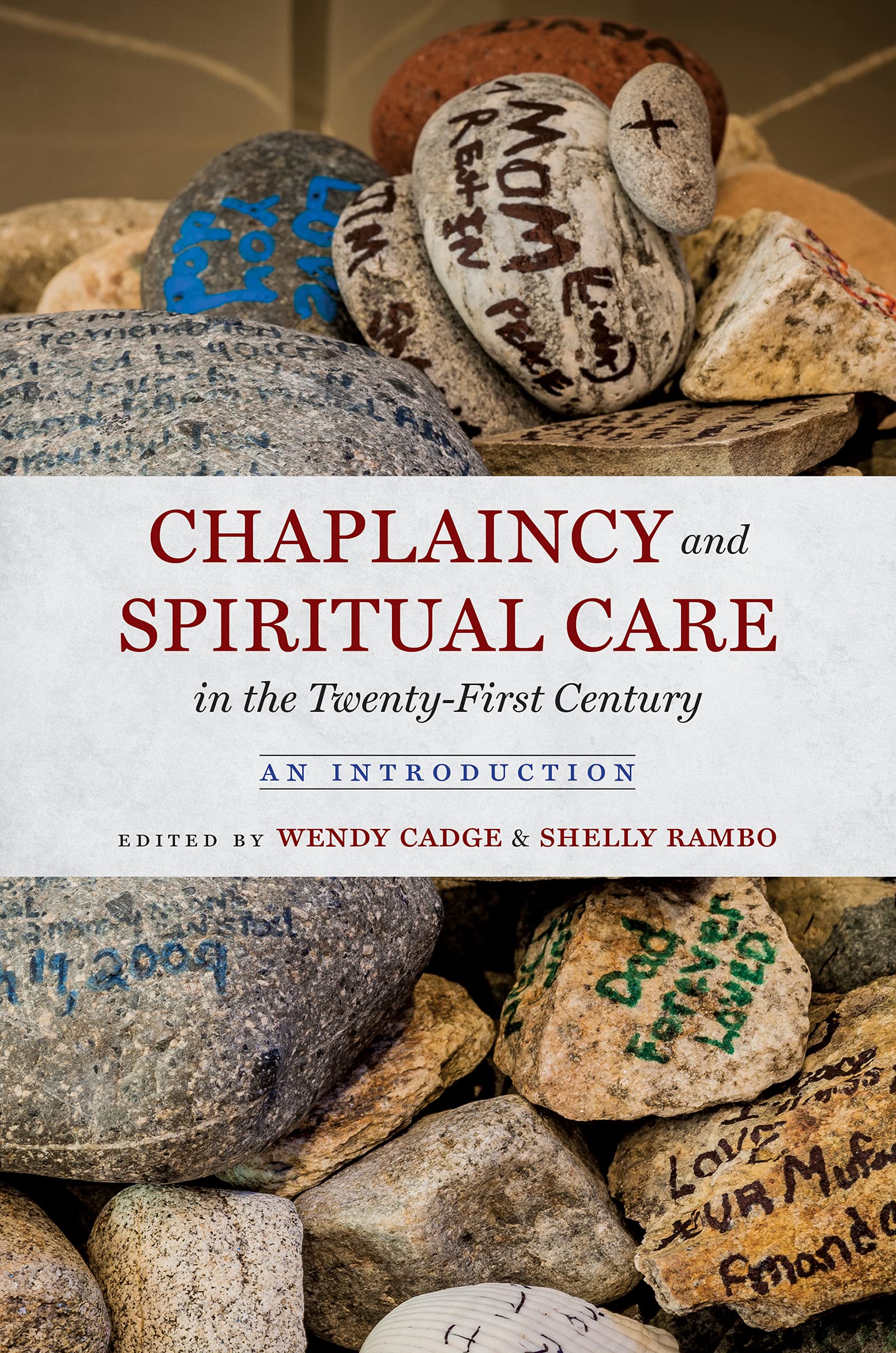 Chaplaincy and Spiritual Care in the Twenty-First Century: An Introduction (Kindle Edition)