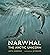 Narwhal by Justin Anderson