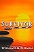 Survivor: Stumbling Blocks ...