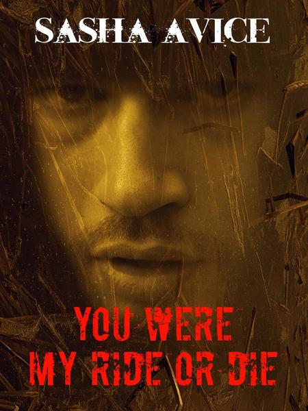 You were my ride or die (ebook)