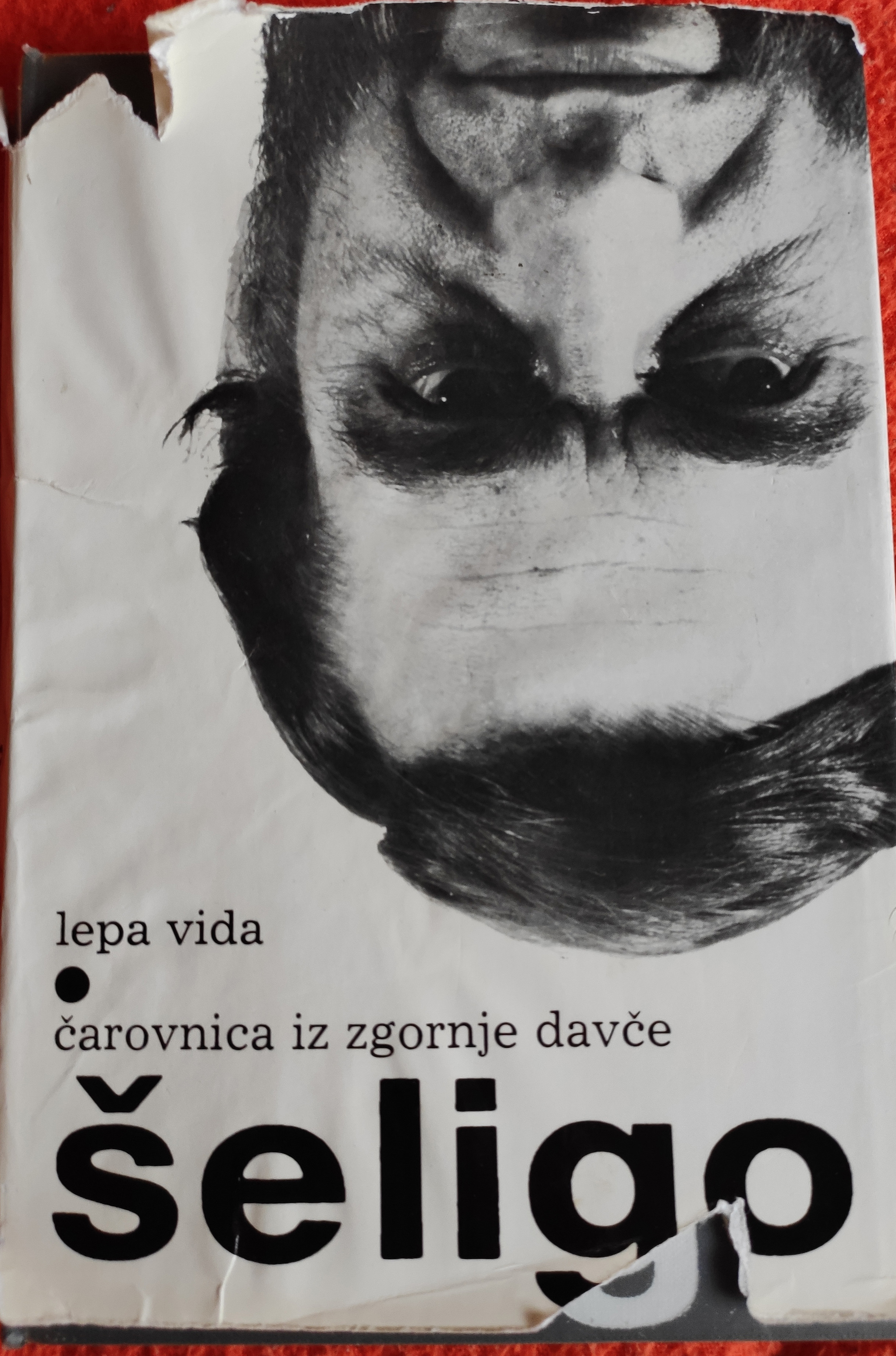 Lepa Vida in Čarovnica iz Zgornje Davče (Hardcover)