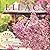 Lilacs by Sue Allen