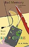 Big Picture: Book One of Bad Memory