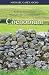 Coenobium by Michael Casey Ocso