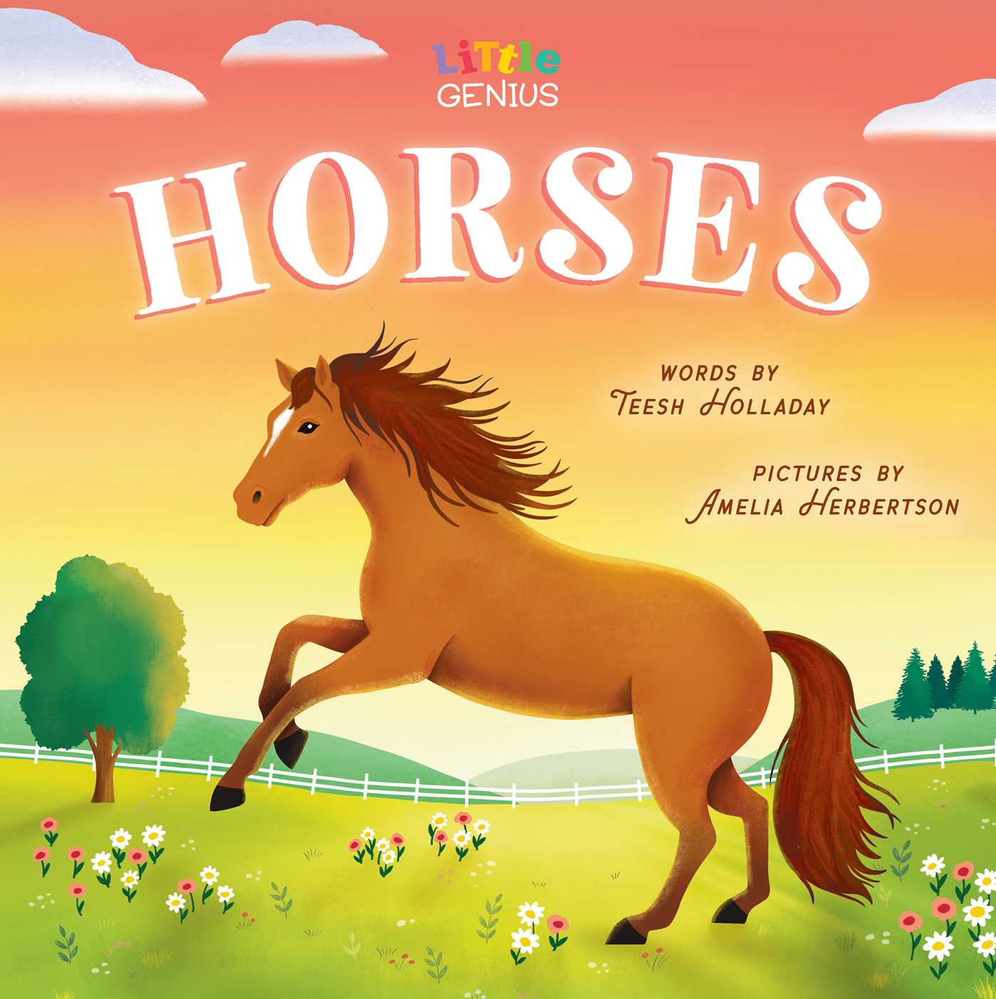 Little Genius Horses (Board Book)