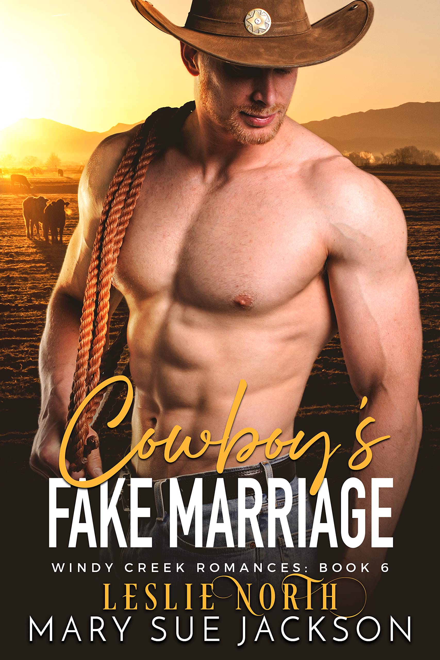 Cowboy's Fake Marriage (Windy Creek Romances #6)