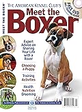 Meet the Boxer