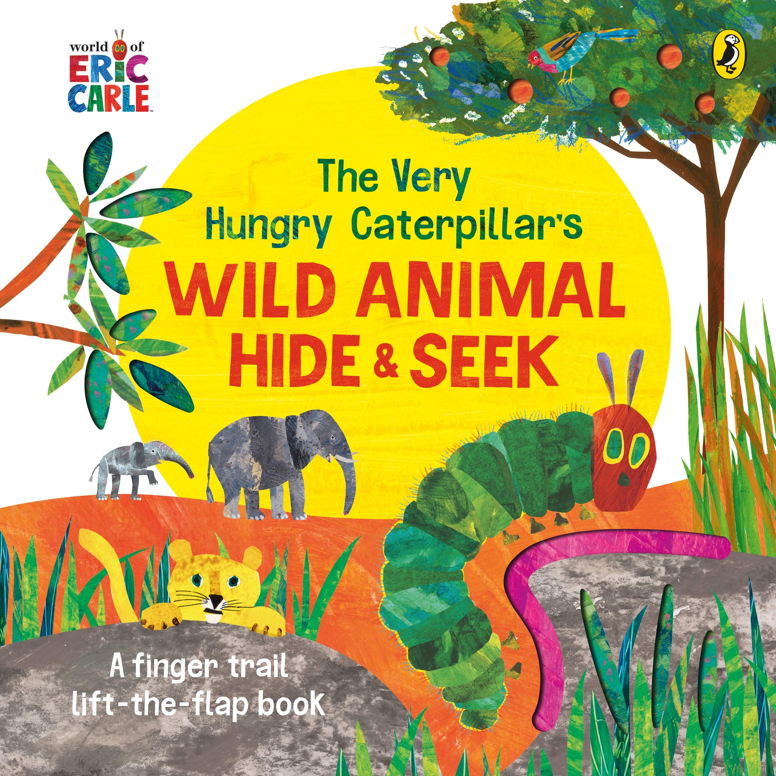 Wild Animal Hide & Seek (Board Book)