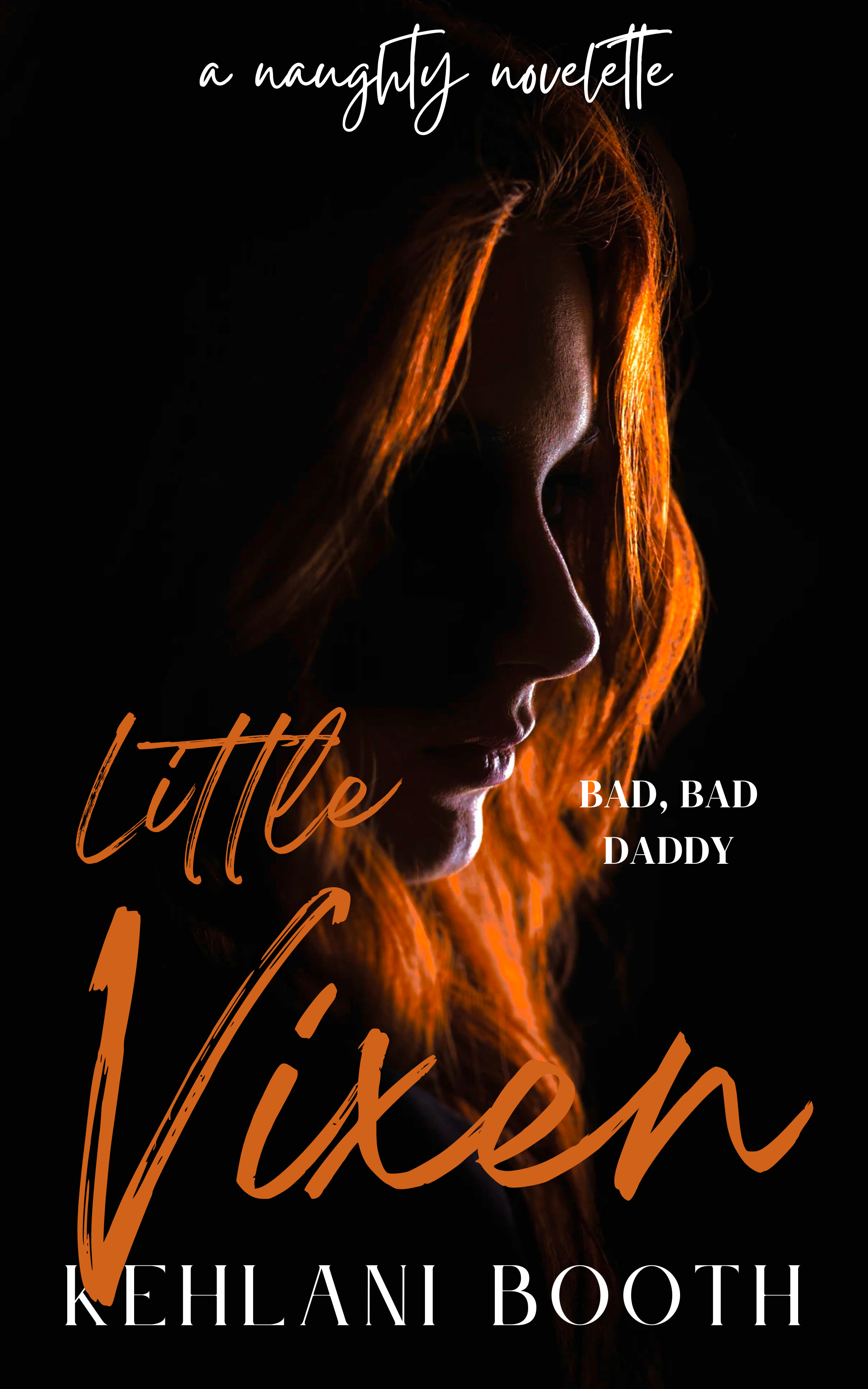 Little Vixen (The Naughty Novelettes)