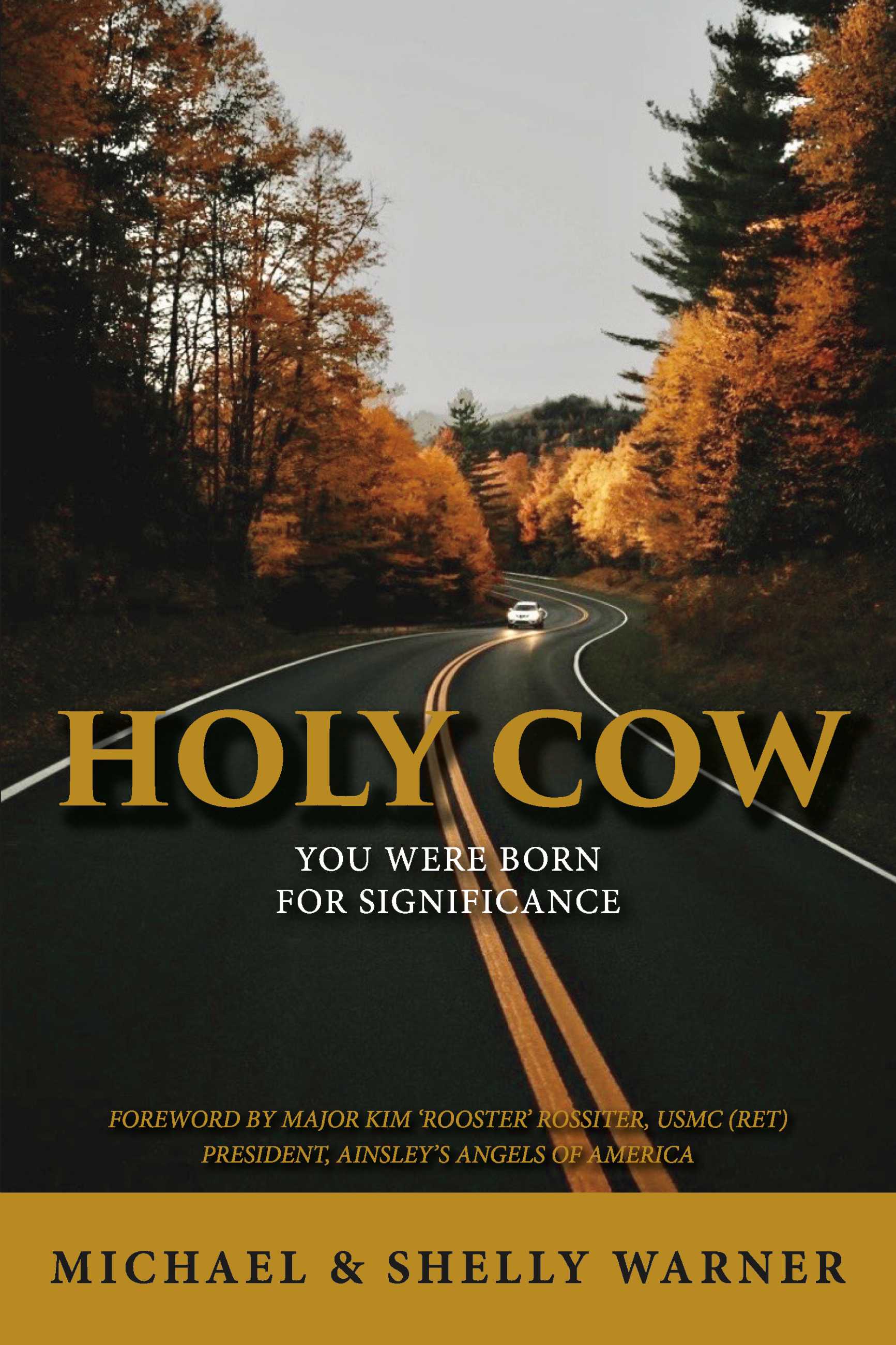 Holy Cow: You Were Born For Significance (Kindle Edition)