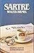 Sartre by Walter Biemel