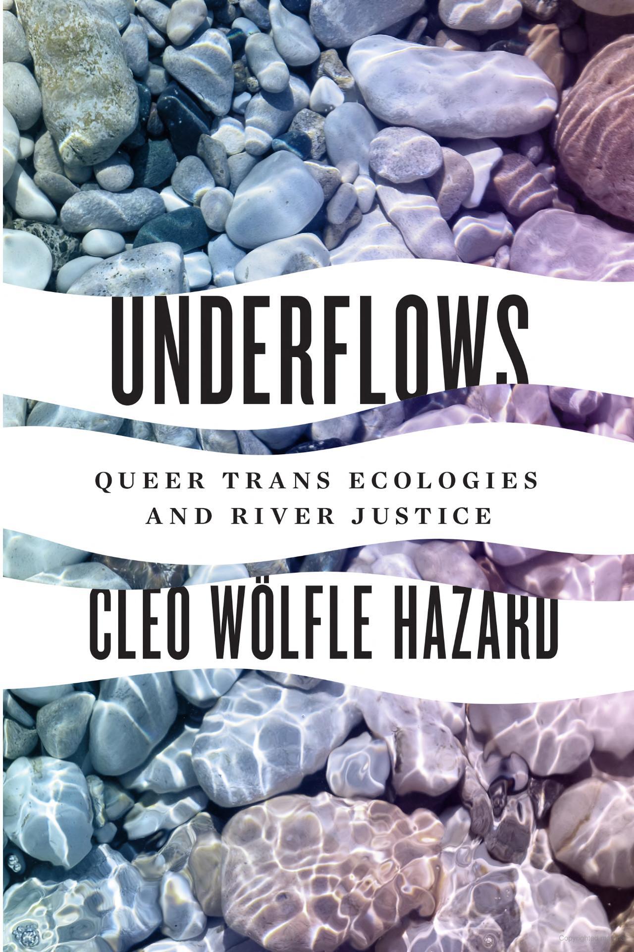 Underflows: Queer Trans Ecologies and River Justice (Feminist Technosciences)