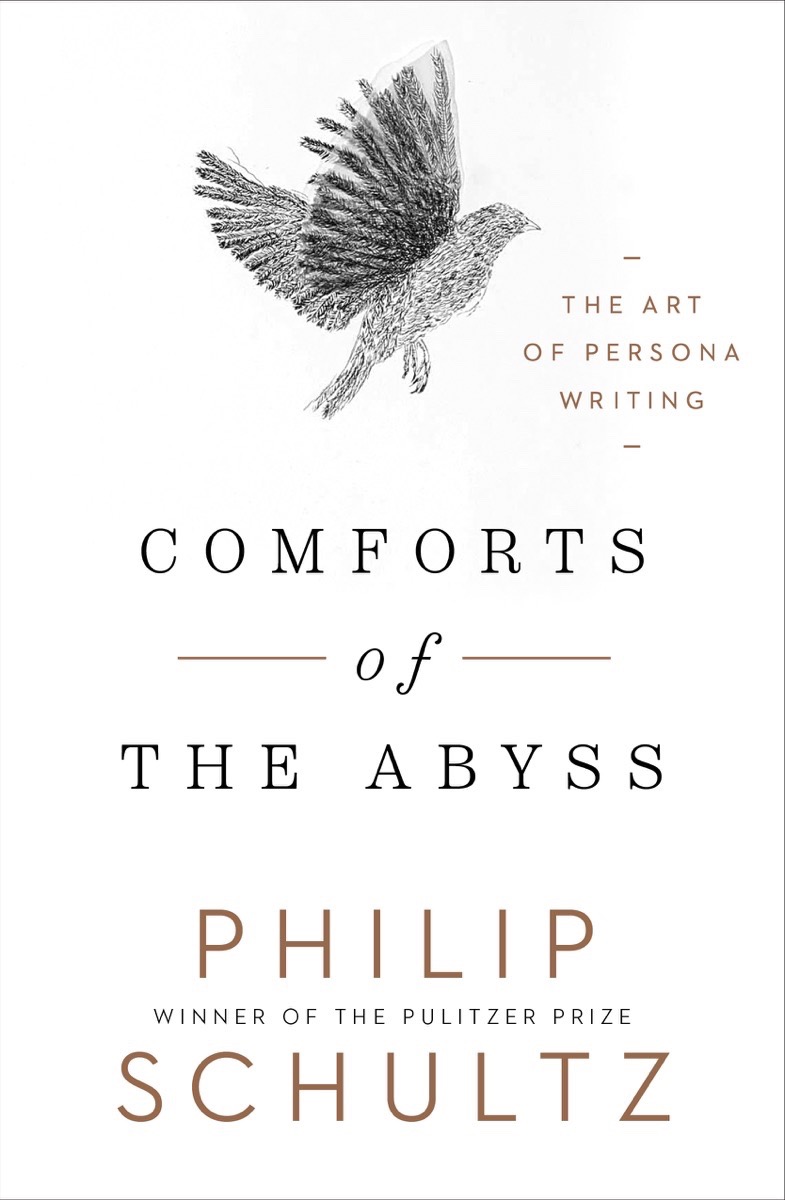 Comforts of the Abyss: The Art of Persona Writing (Hardcover)