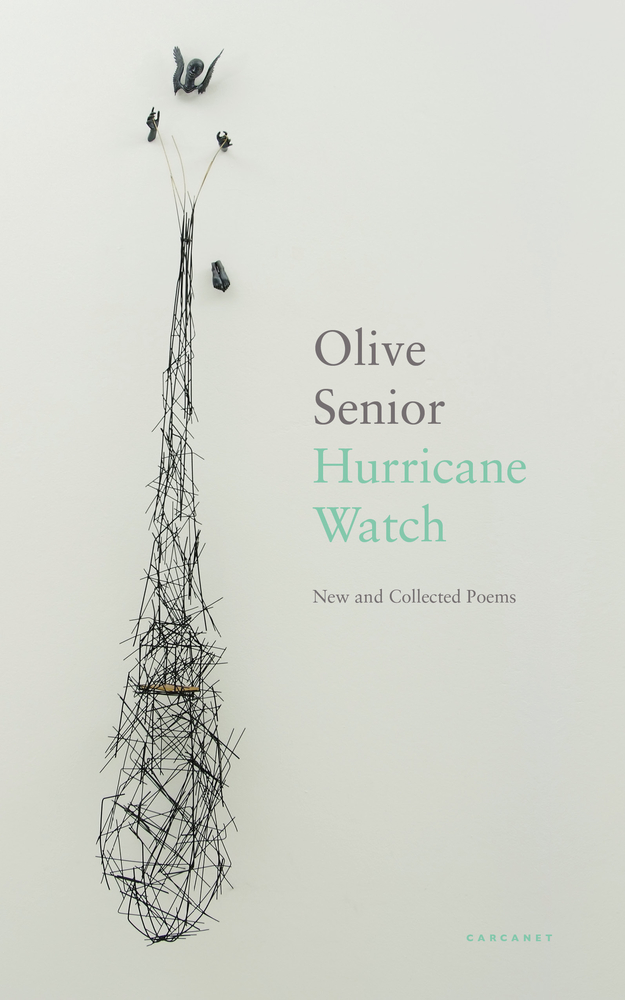 Hurricane Watch: New and Collected Poems (Paperback)