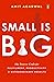 Small Is Big by Amit Agarwal
