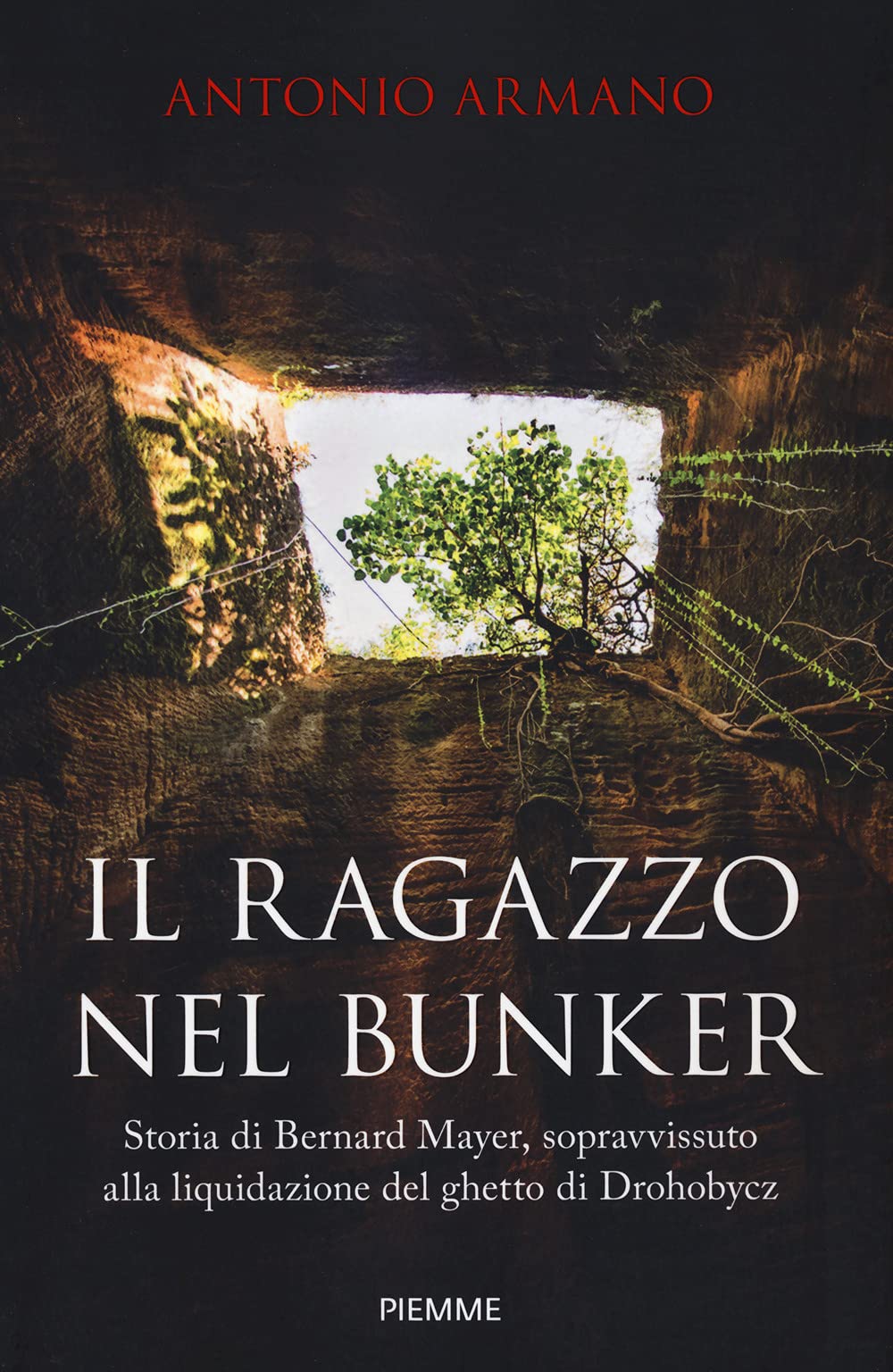 Il ragazzo nel bunker