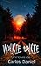 Walkie Talkie